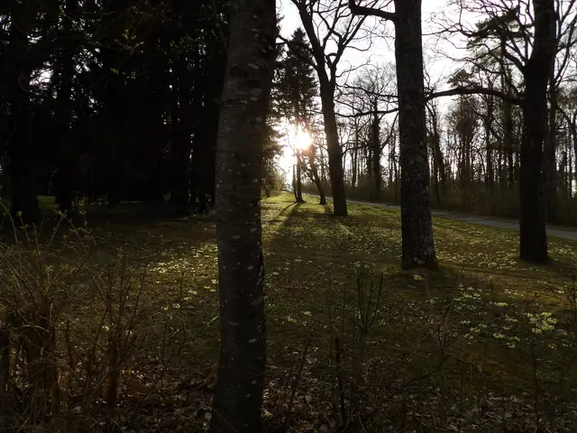 Natur als gesunde Balance für Jugendliche im Schulalltag