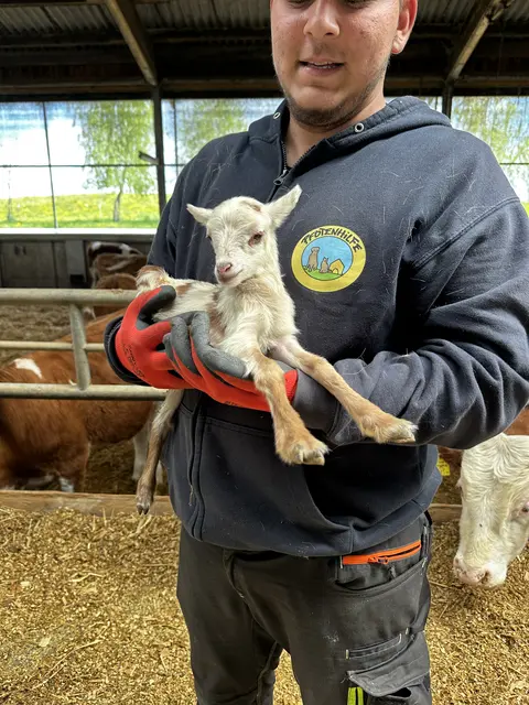 Landwirt Roland Scheinecker verliert seine 50 Schafe – die BH Wels-Land habe Verstöße gegen das Tierwohl finden können. Die Aktion Stößt auf Kritik. | Foto: MeinBezirk