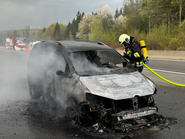 Ein Auto brannte auf der A21. | Foto: FF Alland