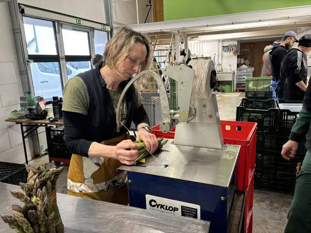 Foto: MeinBezirk/Barbara Babonitsch-Diewald