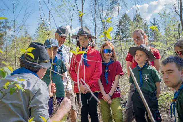 Im Zuge des Projekts "Unser Pfadfinderwald" wurden 225 Bäume zwischen Ebensee und Bad Ischl gepflanzt. | Foto: Pfadfinder Bad Ischl