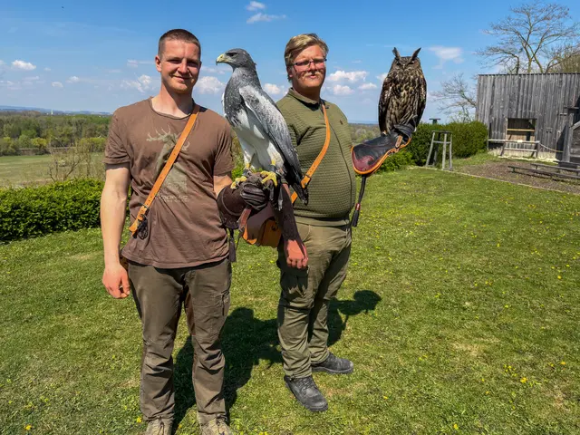 Die beiden Falkner Simon und Tobias mit zwei wunderschönen Geschöpfen. | Foto: Doms/MeinBezirk