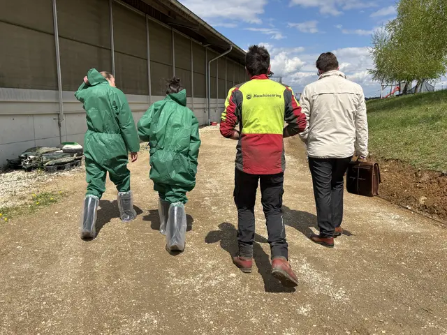 Amtsärztin und Juristin der BH Wels-Land dokumentieren und überwachen die Abnahme der Schafe in Steinerkirchen. | Foto: MeinBezirk