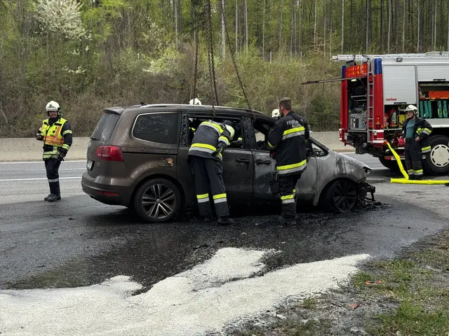 Verletzt wurde glücklicherweise niemand. | Foto: FF Alland