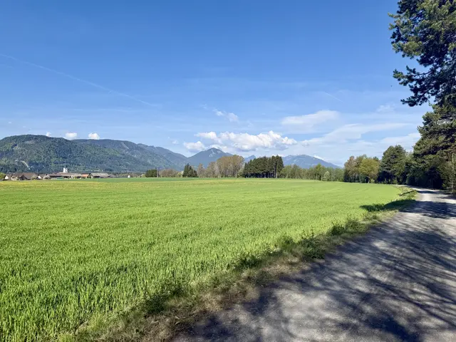 Foto: MeinBezirk.at/Sophia Gasperschitz