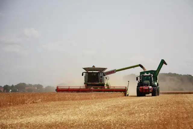 Die Landwirte geraten immer mehr durch hohe Kosten unter Druck.  | Foto: pixabay / andystrauss
