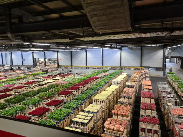 In Aalsmeer erlebte die Gruppe die beeindruckende Logistik der internationalen Blumenauktion. | Foto: BHAK Hartberg