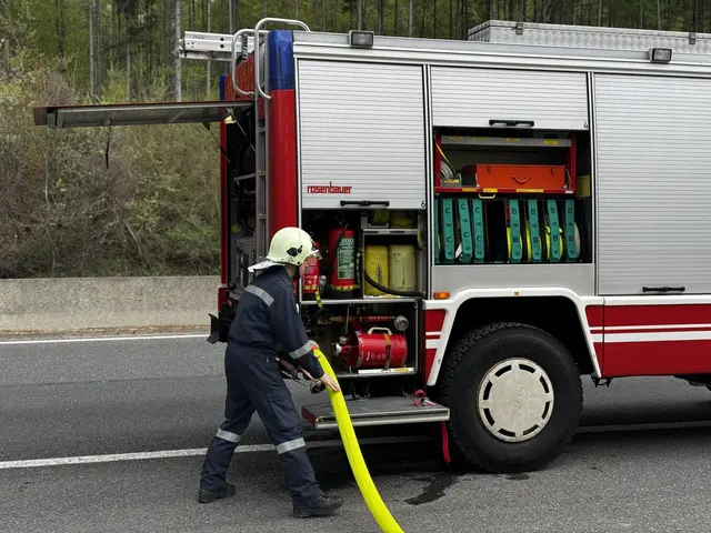 Feuerwehreinsatz | Foto: FF Alland