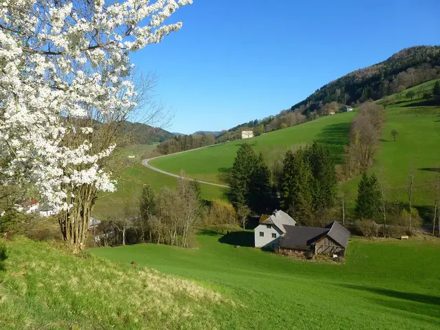 Regionautin Heidemarie Rottermanner auf Wanderschaft in der Region | Foto: Heidemarie Rottermanner