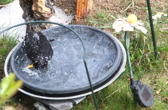 Die Badesaison ist in Althofen eröffnet