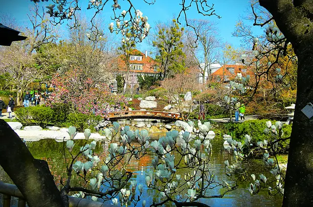 Vernissage beim Teehaus im Döblinger Setagaya-Park