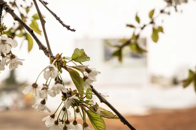 Foto: Linda Zechmeister/Immobilienbär