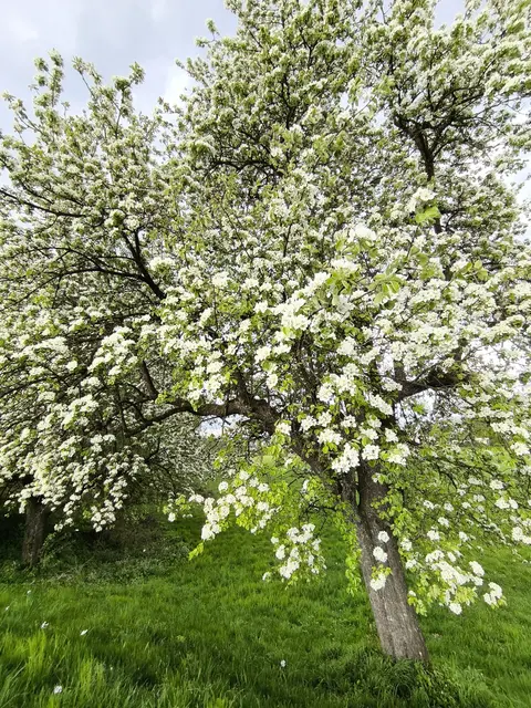 Ich wünsche meinen Regionautenfreunden einen schönen Dienstag 😊 | Foto: Martina Laserer