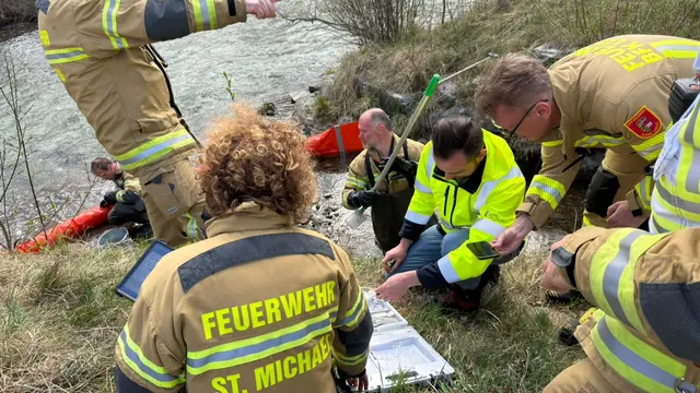 Auffällige Schaumbildung sowie ein Fischsterben festgestellt