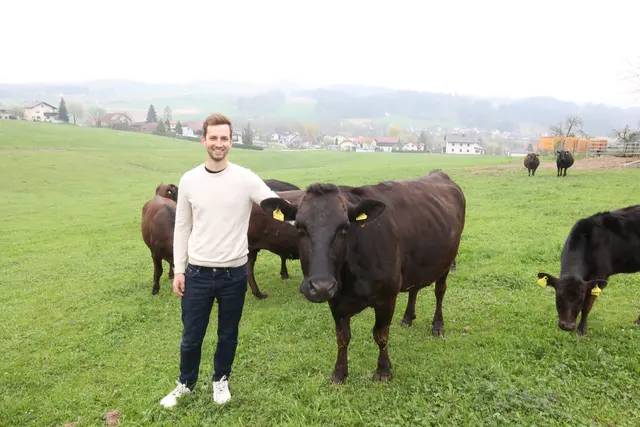 Niklas Goldberger (28) hat den elterlichen Hof in Hauzing, Rainbach, übernommen. Statt auf Milchviehwirtschaft setzt er auf eine Zucht von Wagyu-Rindern aus Japan. 