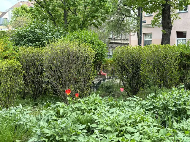 Kritik gab es unter anderem von der Margaretner SPÖ: Der Heinz-Jerabek-Platz sei schon grün, man solle das knappe Geld anderswo investieren. | Foto: Nathanael Peterlini/MeinBezirk