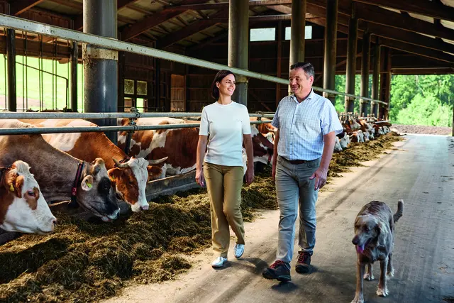 Zum Familienbetrieb gehören auch 90 Milchkühe. Im Bild Juliane Eder mit ihrem Vater Josef Eder.  | Foto: Mauracherhof