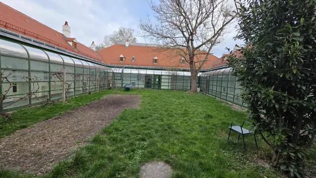 Die neue Location in diesem Innenhof wird für weitere 120 Besucherinnen und Besucher Platz bieten.  | Foto: Filmarchiv Austria
