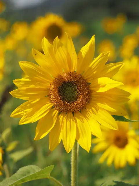 Foto: Sonja Hochfellner