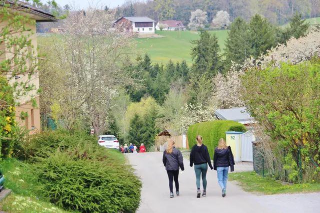 Drei verschieden lange Wanderstrecken führten durch das kirschblütenreiche Hitzendorf. | Foto: privat
