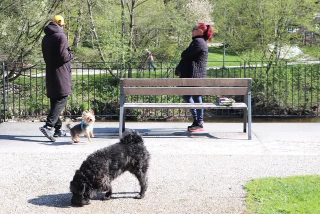 ......Mensch und Hund genießen den sonnigen Tag... 
