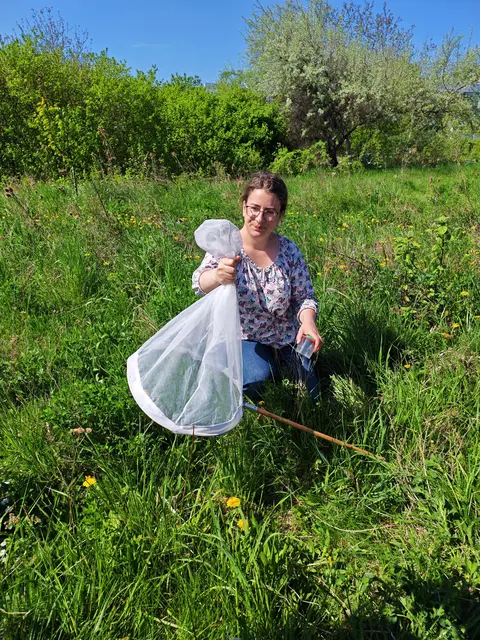 Tagfaltermonitoring: Workshop macht Artenvielfalt sichtbar