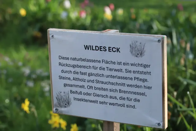 .....das wilde Eck sieht SCHÖN aus.