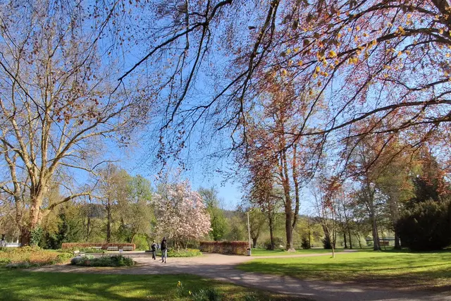 .....FRÜHLING wie SCHÖN bist DU...
