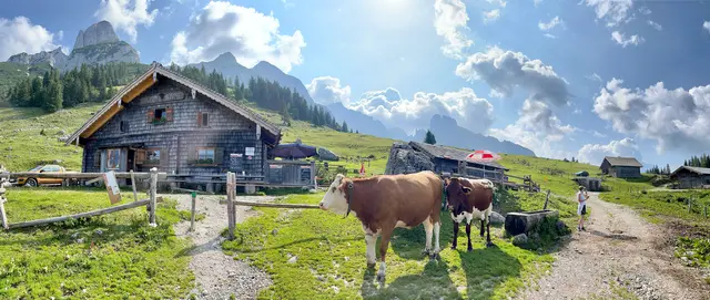 Eine gute Stunde sind wir vom Pommer-Parkplatz zur Theodor-Körner-Hütte marschiert, vorbei an der ebenso traumhaften Stuhlalm. | Foto: Theresa Kaserer-Peuker