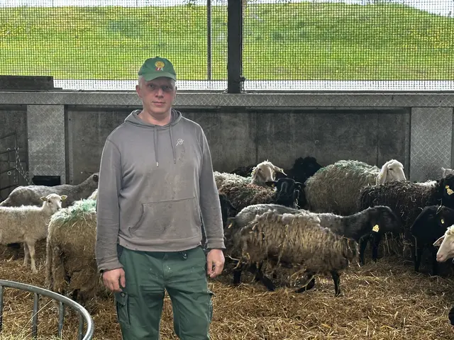 Roland Scheinecker auf seinem Viehbetrieb in Steinerkirchen. | Foto: MeinBezirk