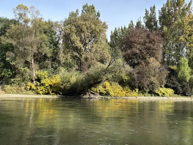 In der Region Bad Radkersburg befindet sich der UNESCO-Biosphärenpark Unteres Murtal. | Foto: MeinBezirk Gerda Sammer-Schmidt