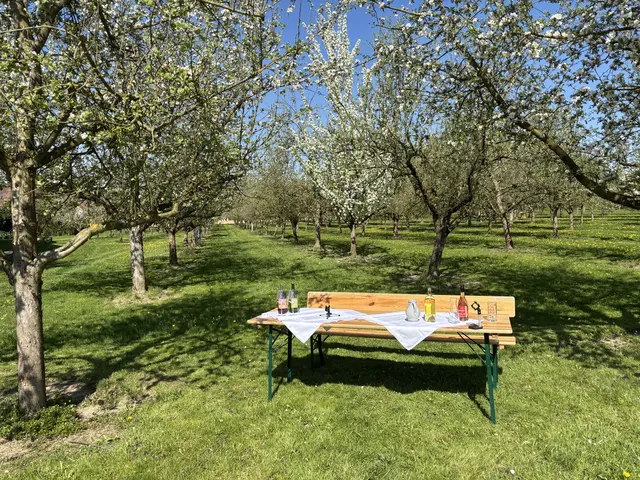 Foto: MeinBezirk