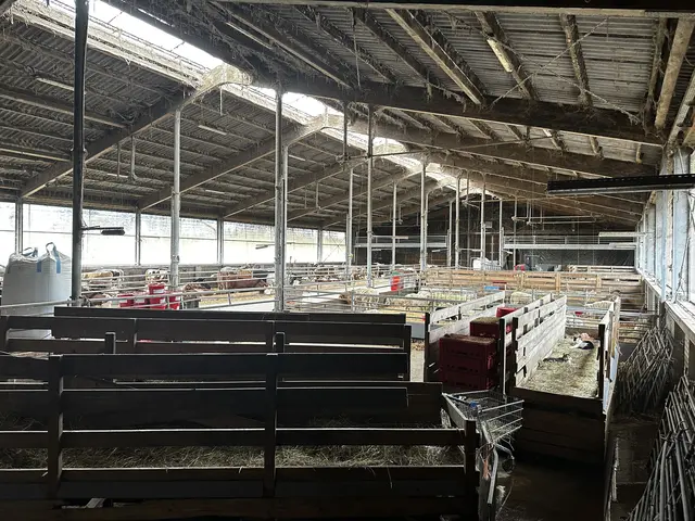 Der landwirtschaftliche Betrieb von Roland Scheinecker in Steinerkichen. | Foto: MeinBezirk