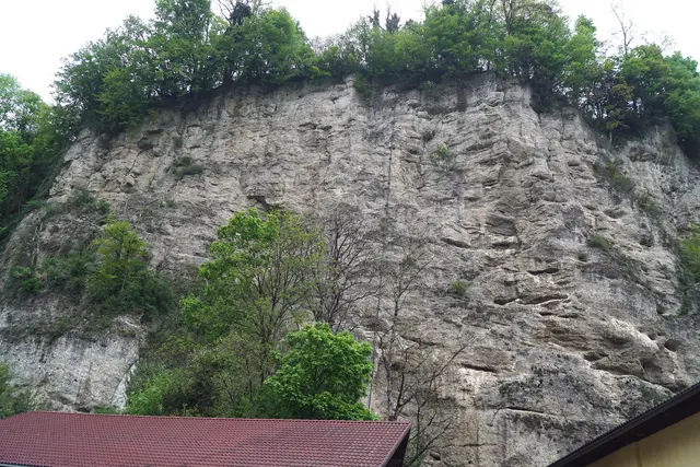 In der Wand hinter dem Pferdehof nisten die Waldrappe. | Foto: Josef Wind