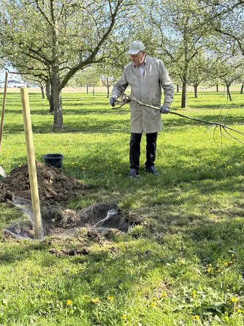 Hans Hartl pflanzte den Baum ein und gab den Anwesenden wertvolle Tipps mit.
