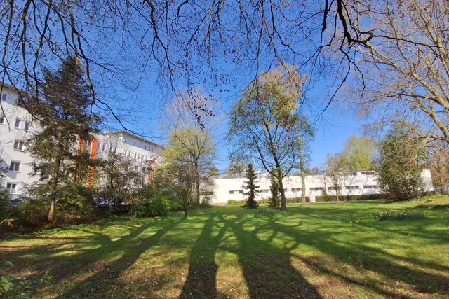 ....lange Schatten von den großen Bäumen im Park.