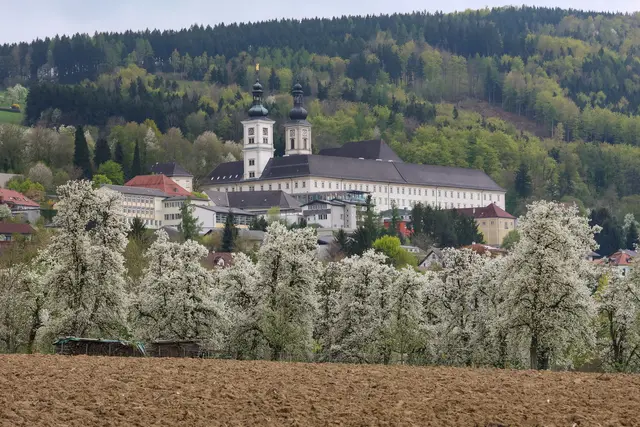 Blütenpracht beim Stift Schlierbach | Foto: Gerhard Hütmeyer