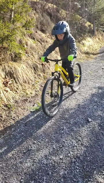 Gut möglich, dass man künftig vermehrt Biker im Bereich des Schleppliftes antreffen wird. | Foto: Filomena Außerhofer