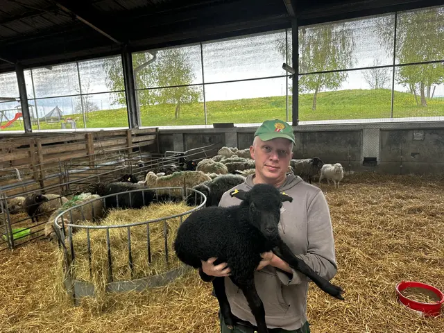 Roland Scheinecker auf seinem Viehbetrieb in Steinerkirchen. | Foto: MeinBezirk