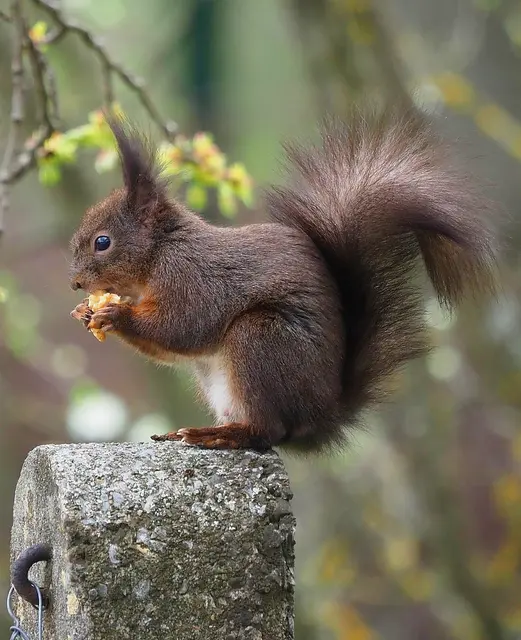 Foto: Sonja Hochfellner