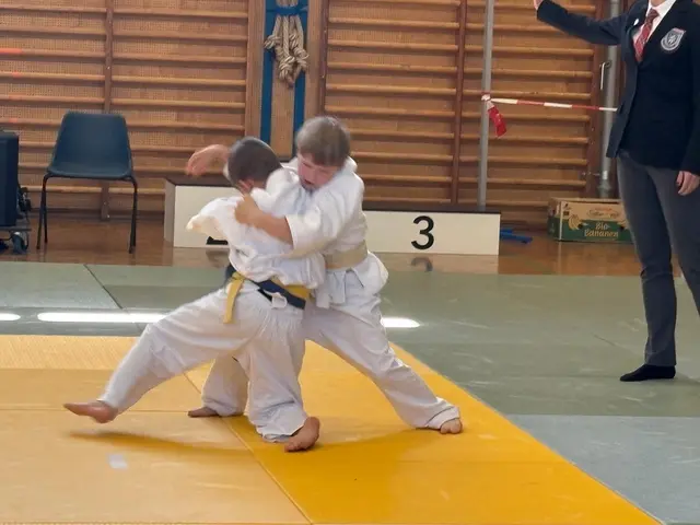 Starke Leistungen der Judoka aus dem Bezirk.