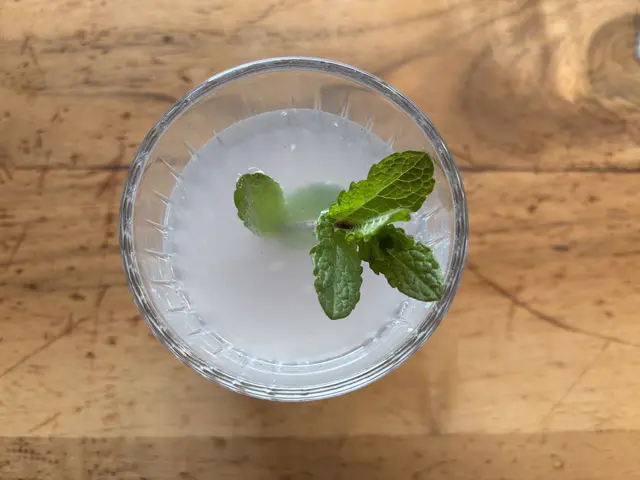 Wasserkefir-Limonaden als Alternative zu zuckerreichen Softdrinks