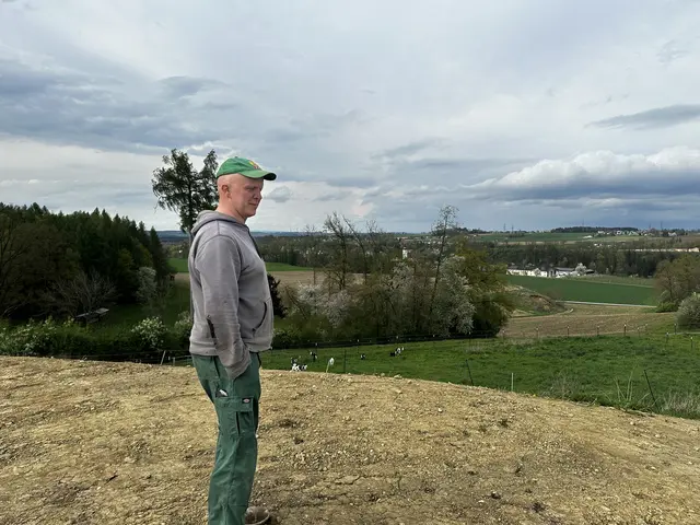Roland Scheinecker auf seinem Viehbetrieb in Steinerkirchen. | Foto: MeinBezirk