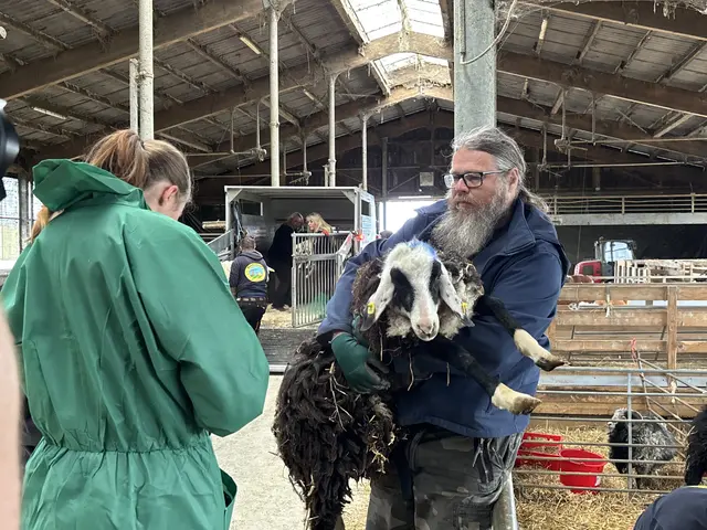 Paukenschlag nach Tierdrama in Steinerkirchen