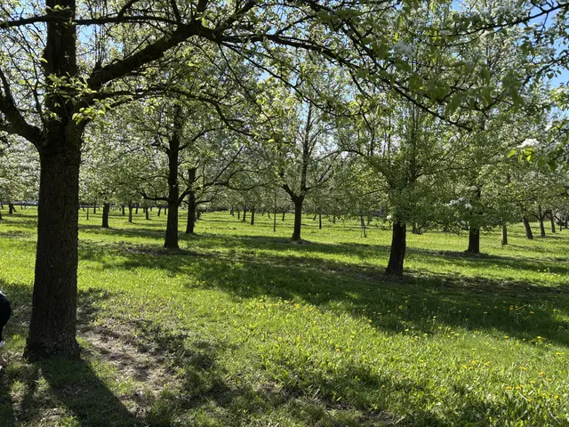 Foto: MeinBezirk
