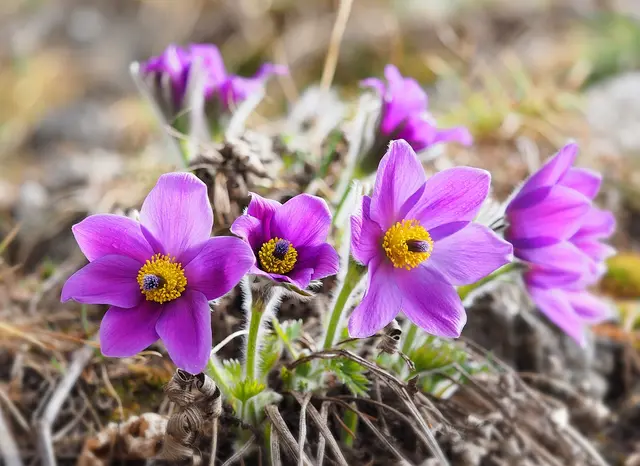 Seit 21 Jahren ist die Fotografie Sonja Hochfellners größte Freude, bei der sie vollkommen entspannen und Energie tanken kann.  | Foto: Sonja Hochfellner