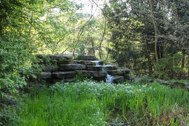 ...ein kleiner Wasserfall mit blühenden Brunnenkresse geschmückt.