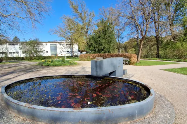 ......BRUNNEN mit SEEROSEN: