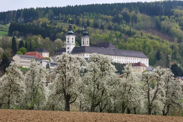 Foto: Gerhard Hütmeyer
