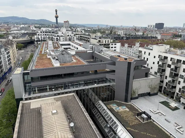 Von der Terrasse des Francis sieht man auch Spittelau und Kahlenberg. | Foto: Mathias Kautzky/MeinBezirk